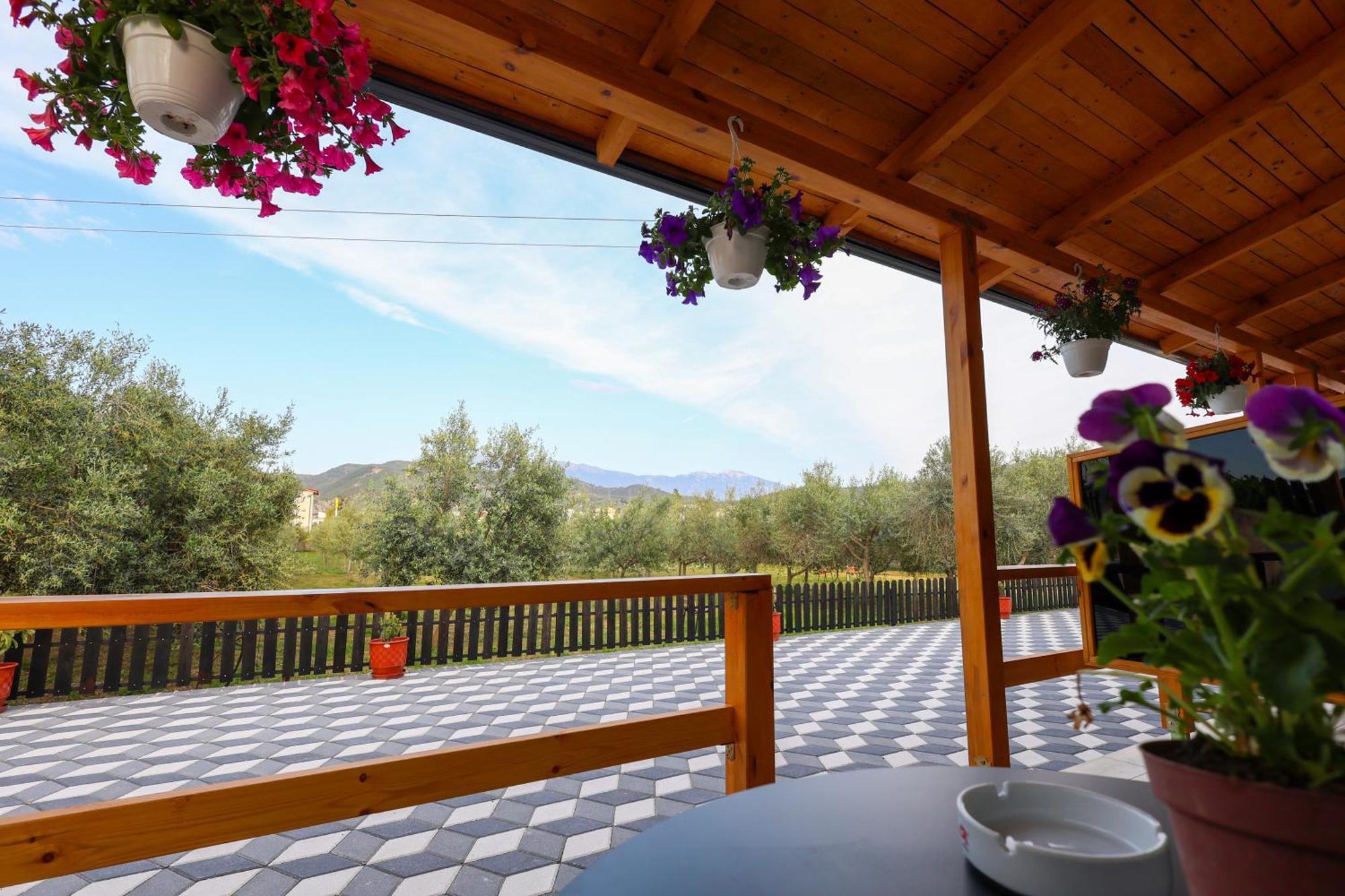 Olive Oasis Studio Μπεράτ Εξωτερικό φωτογραφία